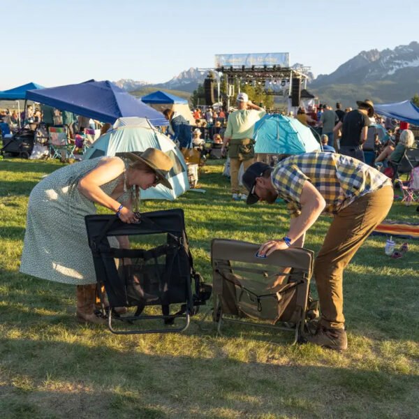 Everywhere Chair 2 - Image 10